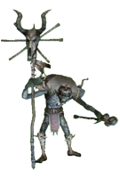 Duende Xamã
