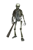 Esqueleto