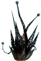 Máquina Vampira