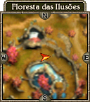 Floresta das Ilusões